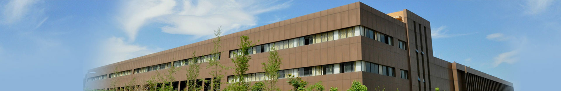 ���ڽ�����